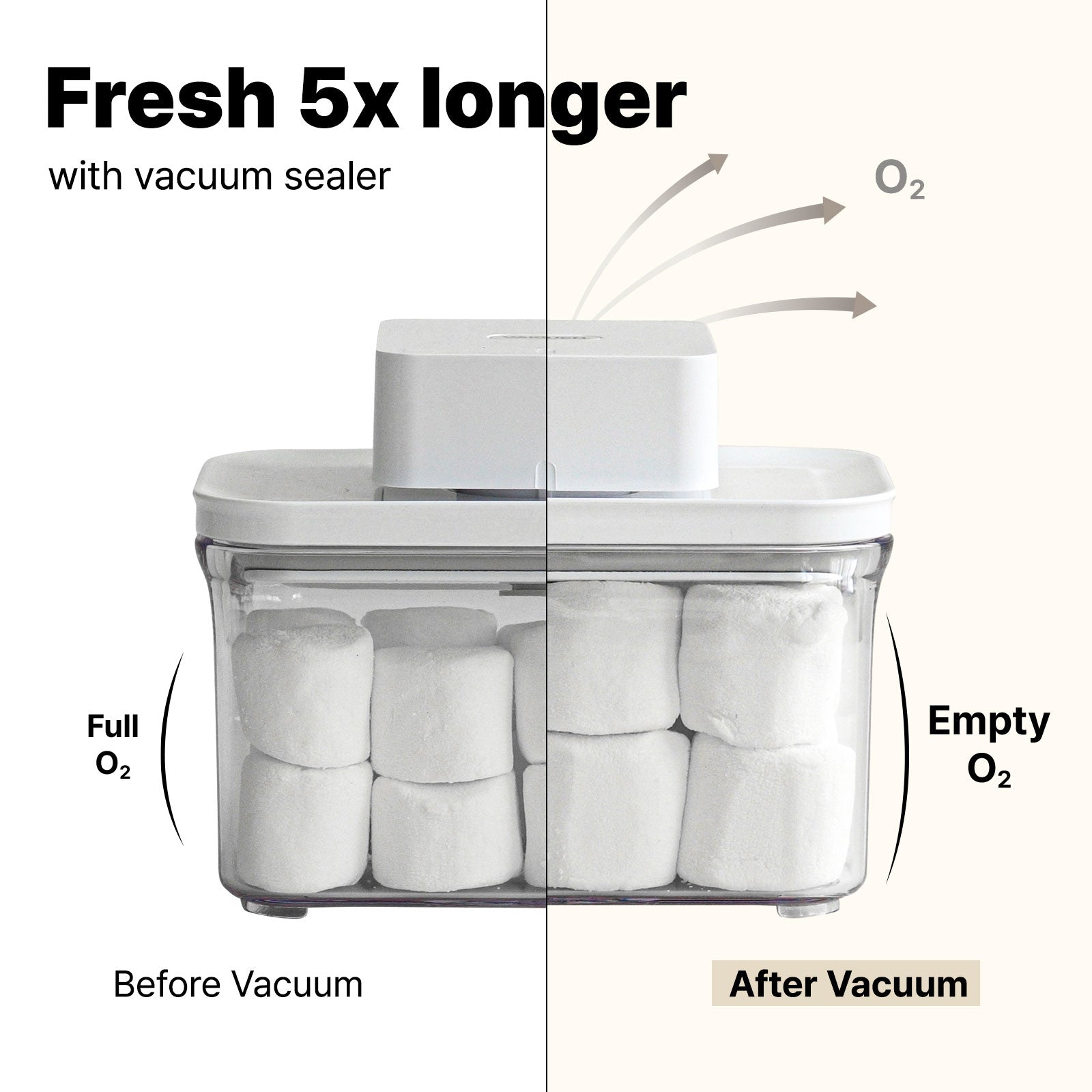 Vakuen Vacuum Food Container | The Best for Freshness